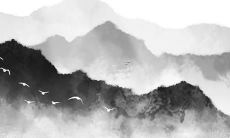 好听的球球名字大全