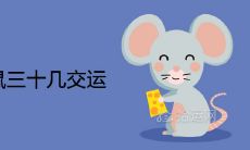 84年属鼠三十几交运何时走大运