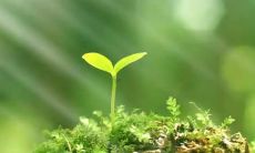 梦见在钓鱼是什么意思是什么意思