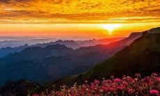 2020年农历闰四月十九日出生五行缺土男宝宝起名