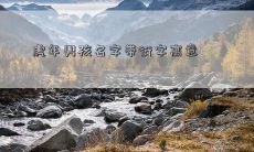 虎年男孩名字带衍字寓意