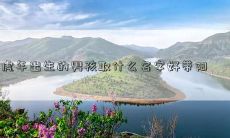 虎年出生的男孩取什么名字好带阳