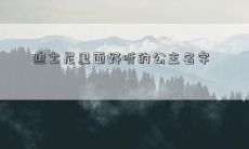 迪士尼里面好听的公主名字