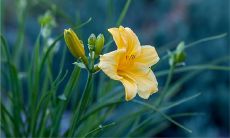 2个字的名字精选