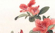 2023年属兔五行缺水吗