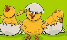 男鸡女兔结婚旺夫吗 男鸡女兔能过一辈子吗