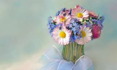 95年属猪最佳结婚年龄 95属猪哪一年结婚最好