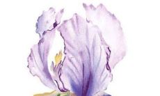 起名字大全男孩生辰八字起名刘