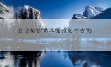 属虎的男孩子起什么名字好