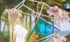 白羊猪星座是什么