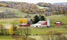 2020年农历闰四月二十四出生女宝宝八字喜火起名