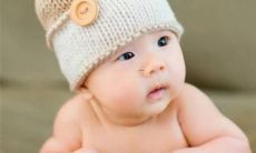 猪年女孩姓陆起什么名字