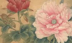 土命五行火旺缺金怎么取名字