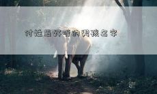 付姓最好听的男孩名字