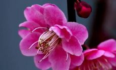 梦见自己开翻车