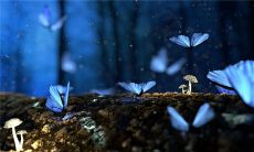 好听的英文名字大全