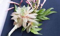 天生交际好 善于营销的星座