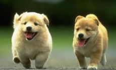 取名字方法大全