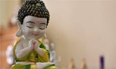 梦见黄鹄飞出笼子