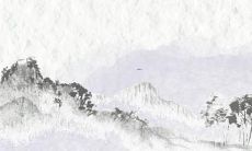 名字带宝的男孩名字