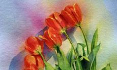 企业取名字大全字哪些字比较好