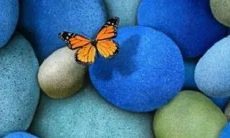 金牛座跟什么星座最配 金牛座最配什么星座