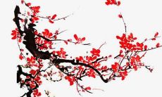 缺火和金的男孩名字大全