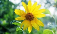 梦见小女孩死了又活了