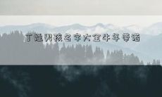 丁姓男孩名字大全牛年带诺