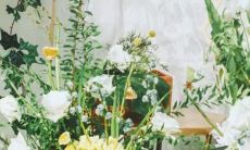 金星 星座长什么样