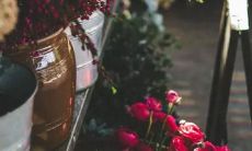 十二生肖的金牛座和什么生肖星座最配？