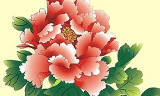 木字旁女孩起名起什么名字好