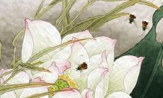 属马2023年的感情运势