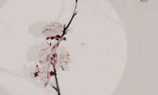 2023年属兔出生的运势