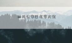 四川公安厅名字大全