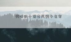 好听的小说古风男子名字