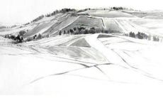 2023年属兔名字大全