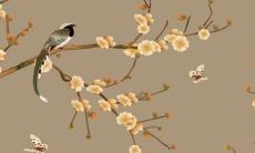 2023年兔宝宝什么命运