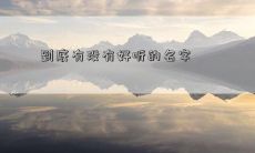 到底有没有好听的名字