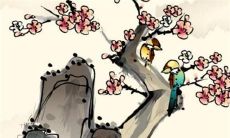 属鼠的到2023年多大