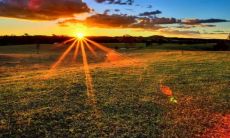 属羊的和属鸡的相配吗 羊和鸡的属相适合做夫妻吗