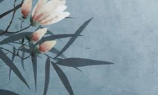 2023年是属龙人的全年运势