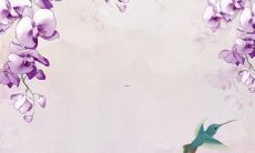 起名字女孩免费八字起名