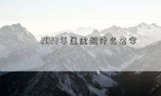 2022年属虎起什么名字