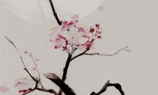 属羊人在2023年要注意些什么