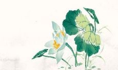 好听的名字qq男孩名字