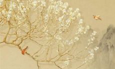 十二星座女生讨厌男生什么样的行为