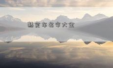 熟食车名字大全