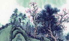 中华易经取名网免费