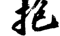 抱字五行属性和含义